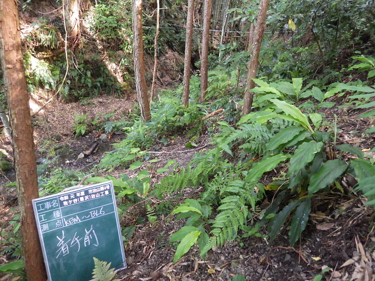 牧ケ谷（悪沢）治山工事