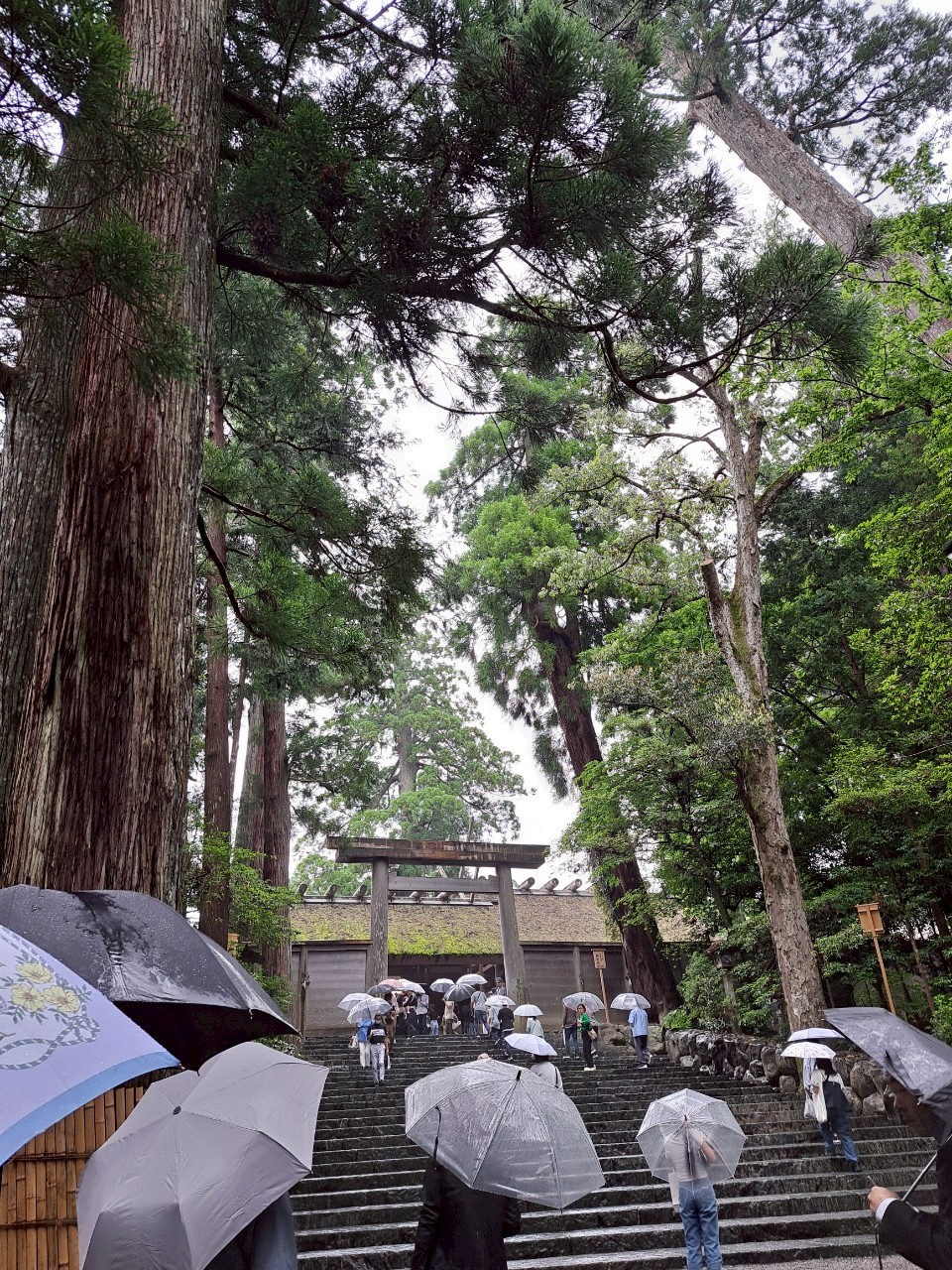 LINE_ALBUM_2025614伊勢神宮 社員旅行_250822_68