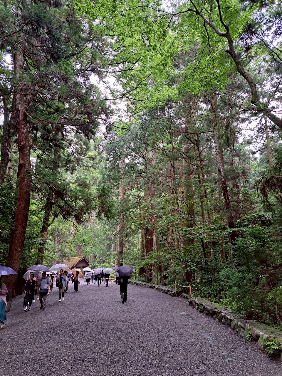 LINE_ALBUM_2025614伊勢神宮 社員旅行_250822_69